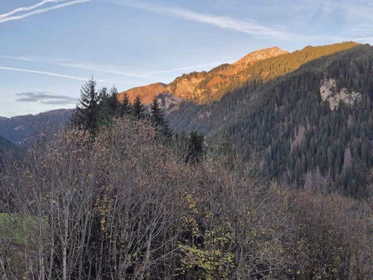Studio 4 pers Châtel, parking inclus et WiFi - Photo 13
