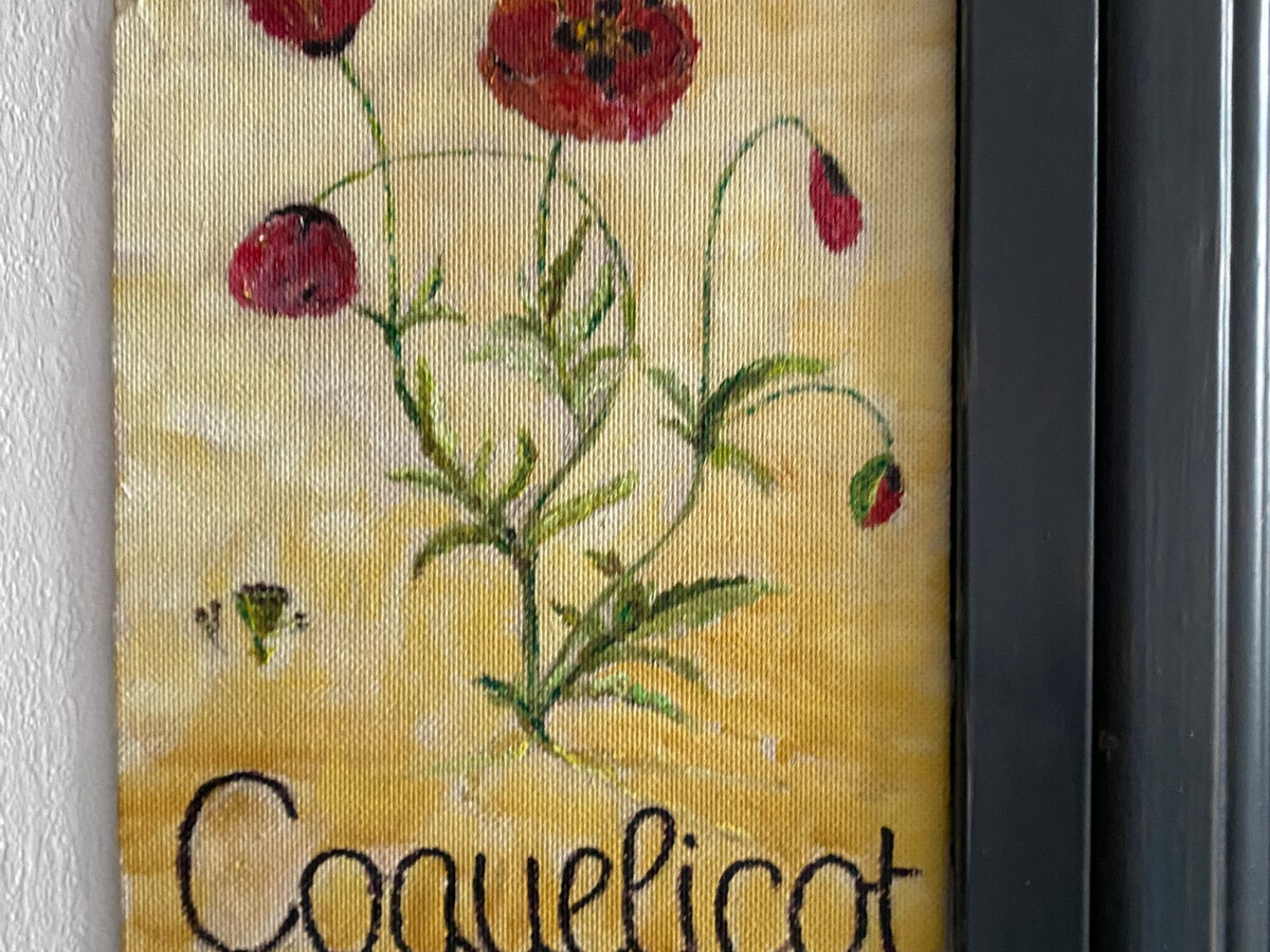 Studio Les Coquelicots n°1 - La Bourboule - Photo 7
