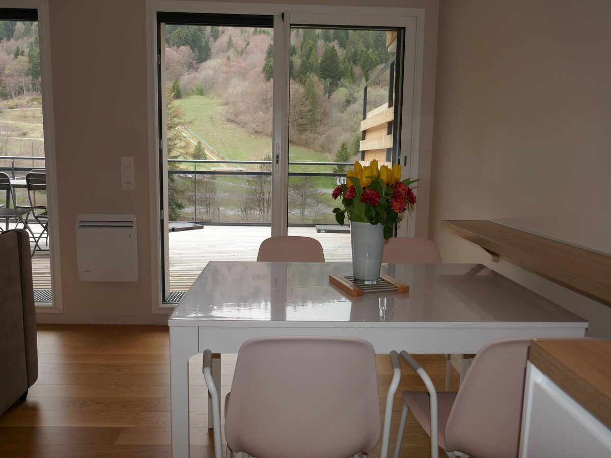 Appartement 4 pers. terrasse vue Sancy, Mont-Dore - Photo 10