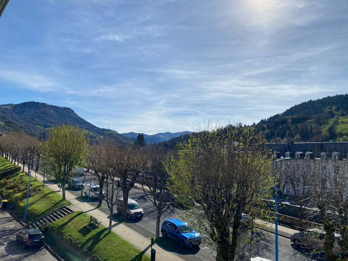 Aux Hêtres n°3, appartement 4 pers. au cœur de La Bourboule - Photo 10