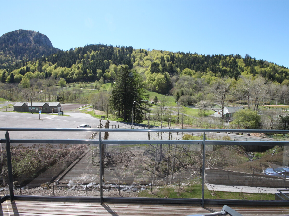 Appartement chalet 67 m² avec terrasse à Mont-Dore - Photo 13