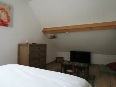 Maison neuve 4* au Mont Dore pour 6 personnes, Location Maison 6 personnes à Mont Dore - Photo 13