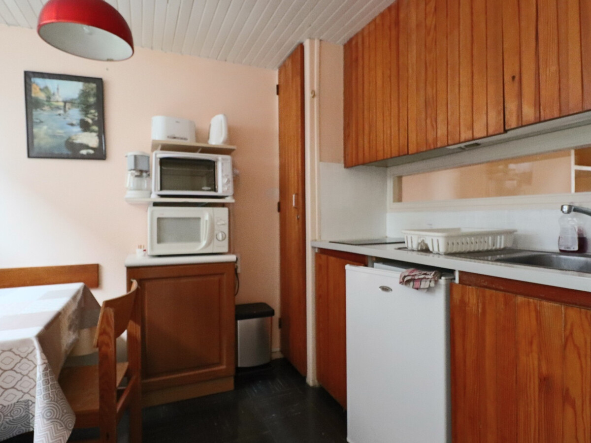 Duplex 40 m² vue Sancy, parking privé à Murat-le-Quaire - Photo 2