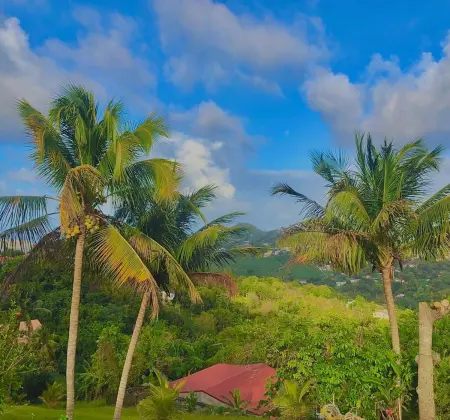 Maison de charme avec spa et vue mer au Robert, Martinique : photo 20