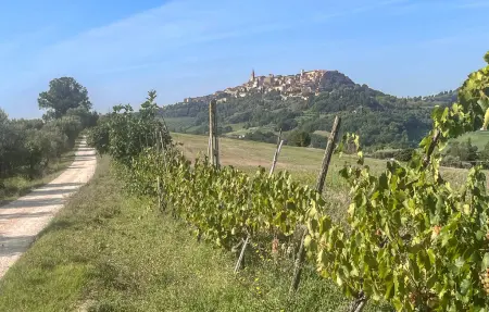 Appartement 4 personnes à Todi : photo 16