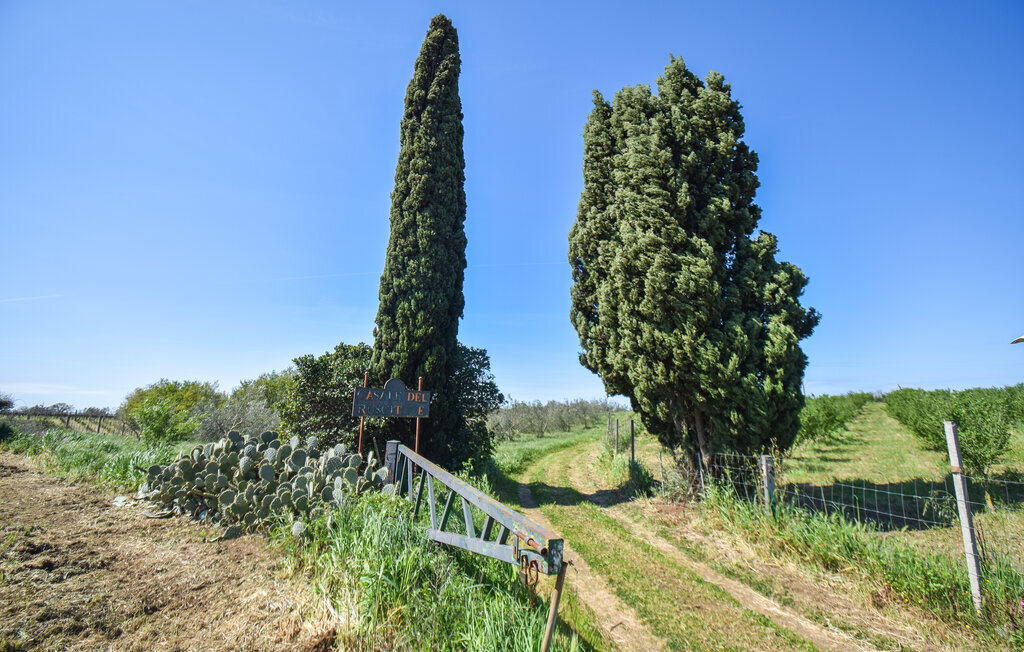 Casale del Duca, Maison 7 personnes à Montefiascone - Photo 53