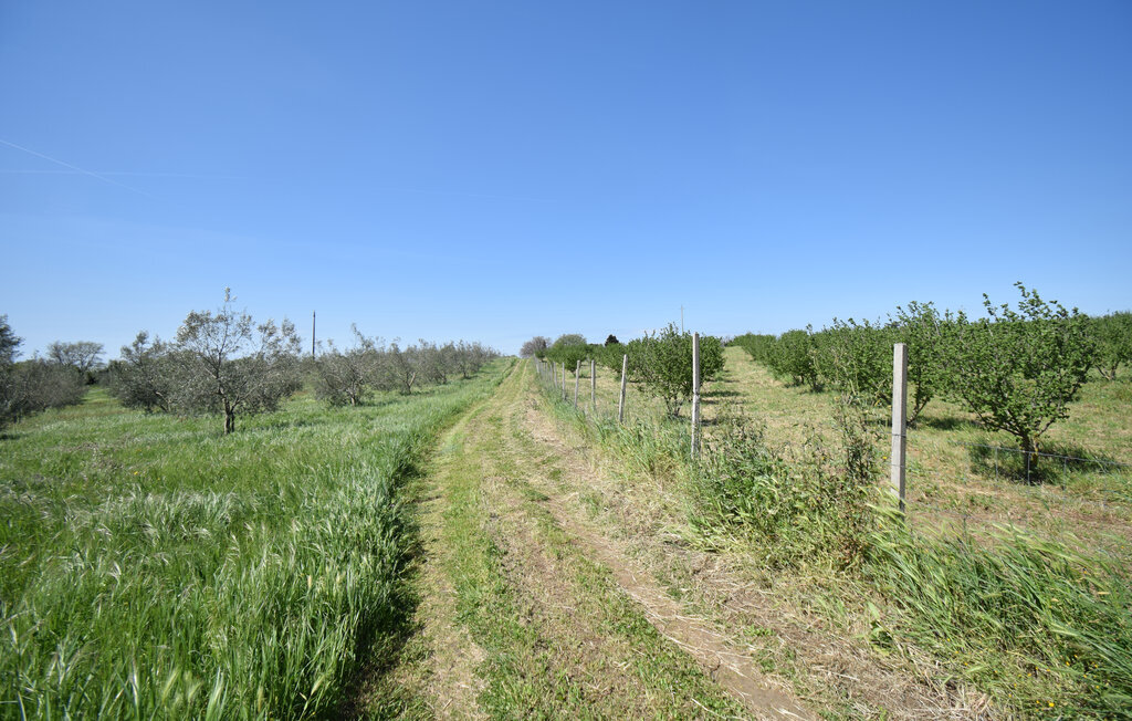 Casale del Duca, Maison 7 personnes à Montefiascone - Photo 54