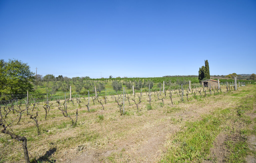 Casale del Duca, Maison 7 personnes à Montefiascone - Photo 55