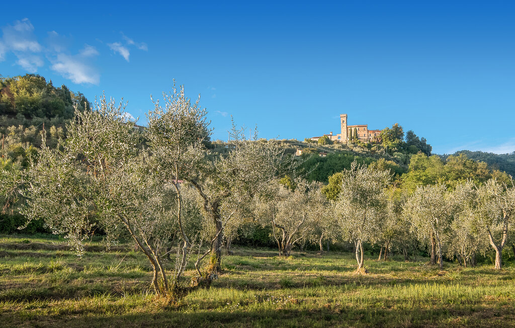 Terrazza sui Colli, Appartement 5 personnes à Massa e Cozzile - Photo 36