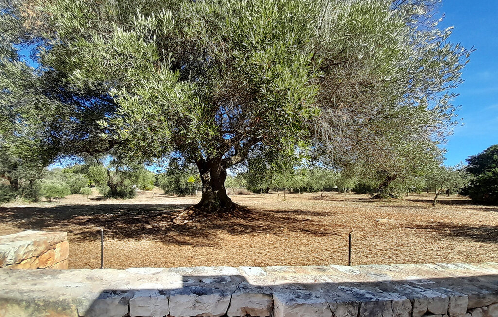 Maison avec piscine privée à Ostuni, 65m2 - Photo 7