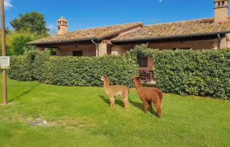 Maison Cav. D'Italia e Falco pescator à Castiglione del Lago : photo 21