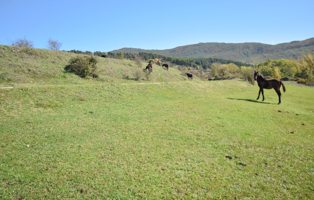 Maison 9 personnes à Montenero Val Cocchiar - Photo 23