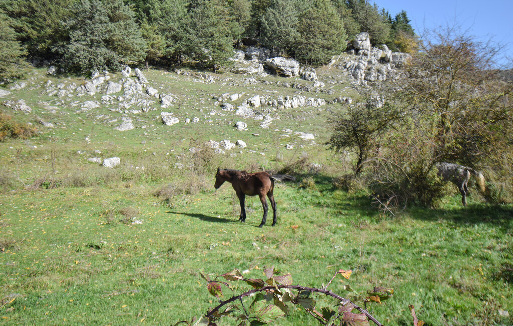 Maison 9 personnes à Montenero Val Cocchiar - Photo 24