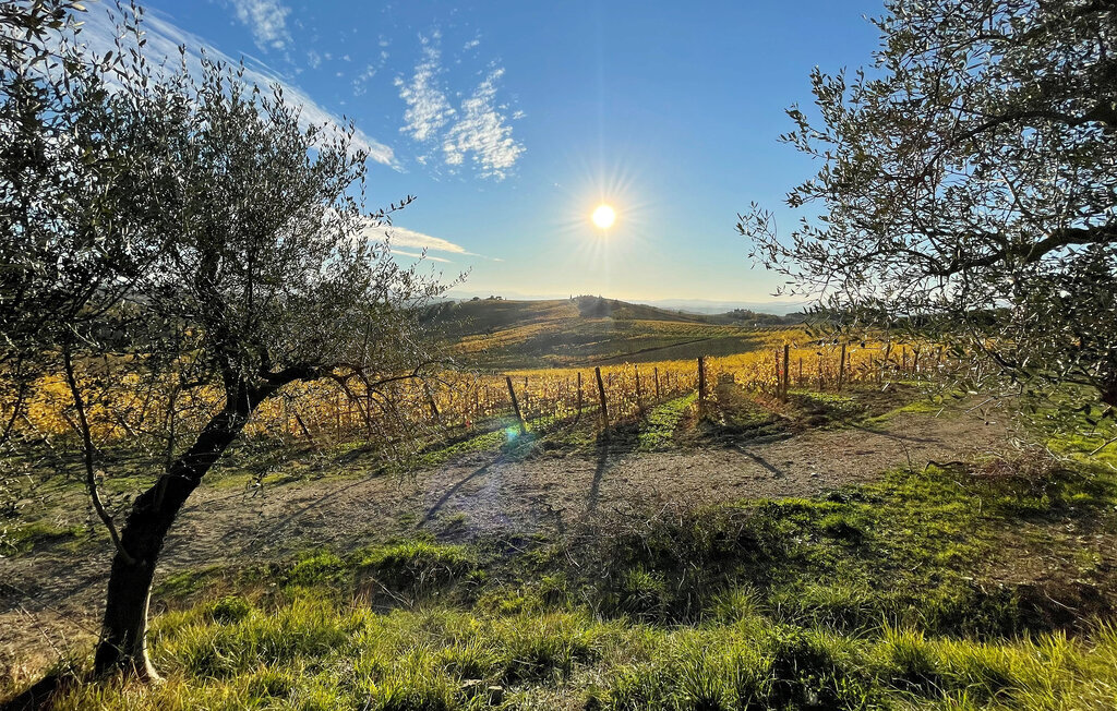 Villa Luce, Maison 10 personnes à Lucolena in Chianti - Photo 29