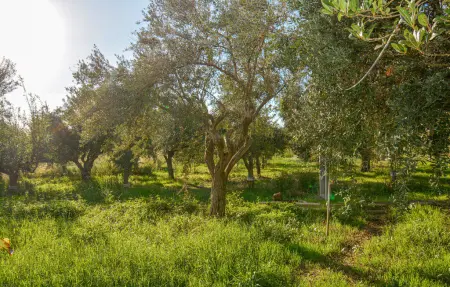 Appartement 5 personnes à Marina di Ragusa : photo 8
