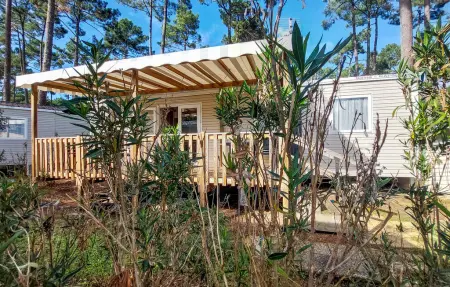 Location mobil home de vacances à Saint Julien en Born