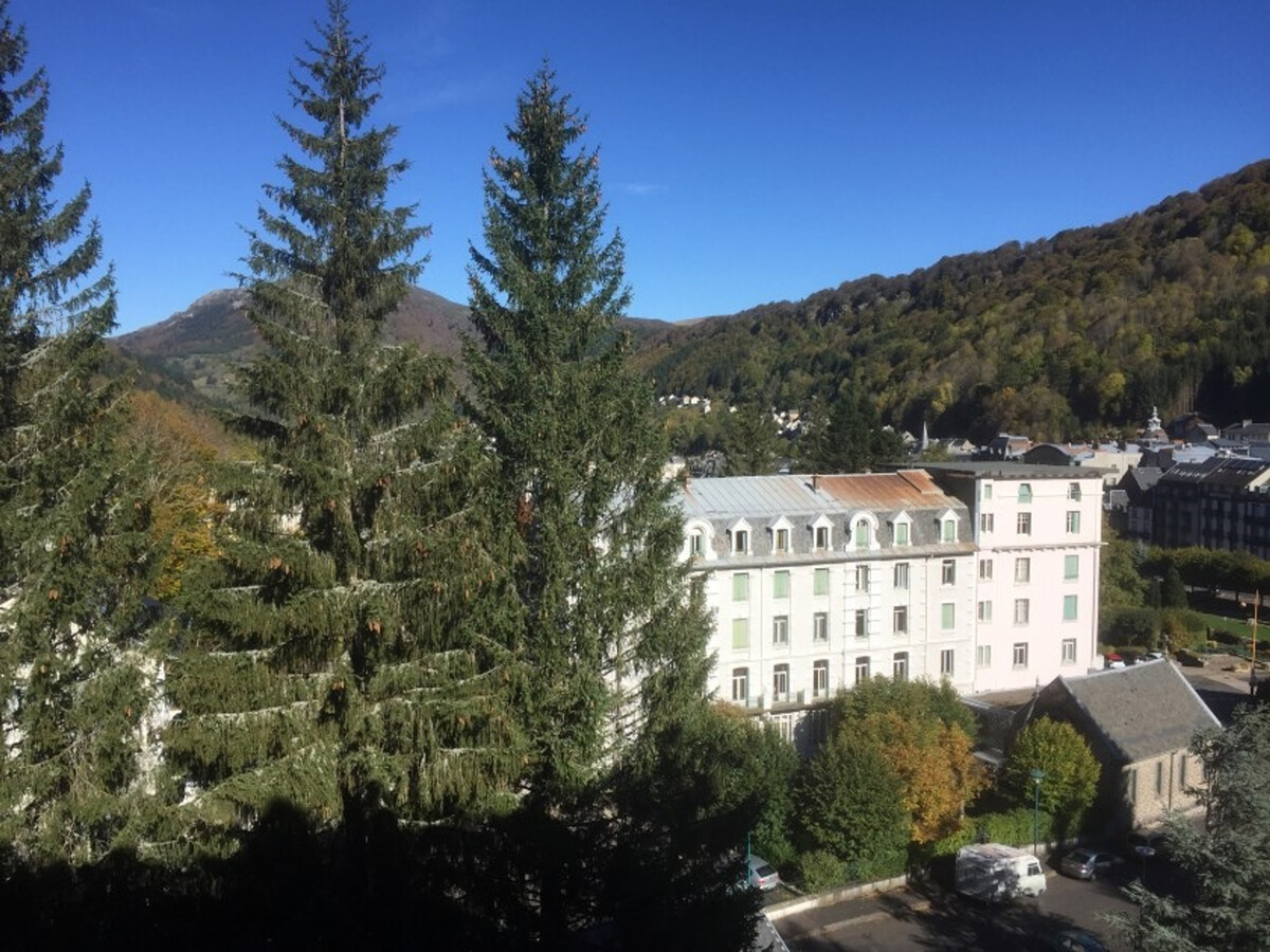 F2 35m² avec balcon, parking et ascenseur au Mont-Dore - Photo 6