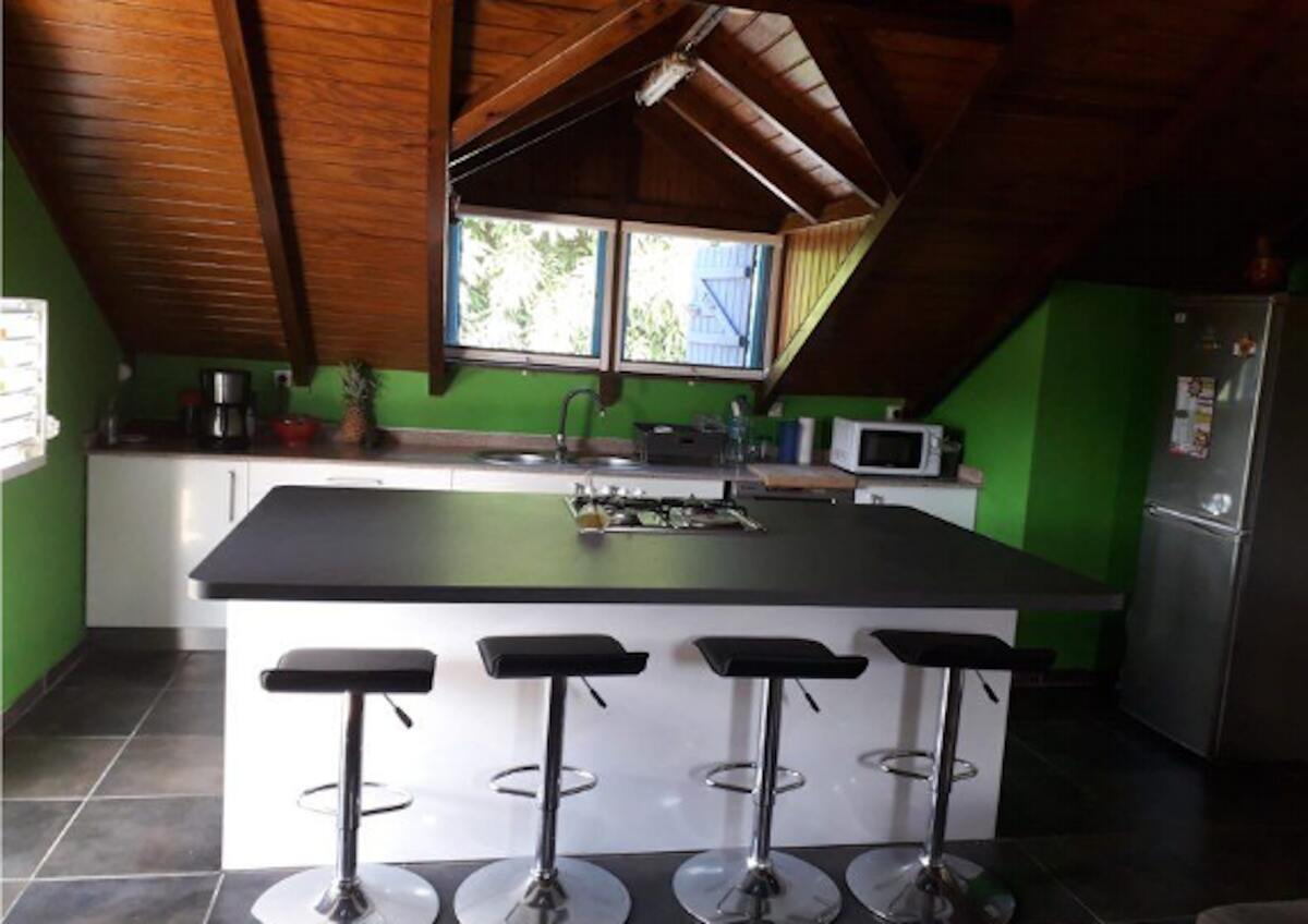 Studio 45 m² avec balcon et barbecue à Sainte-Rose - Photo 1