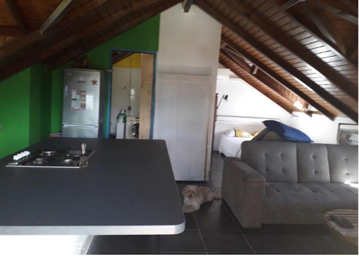 Studio 45 m² avec balcon et barbecue à Sainte-Rose - Photo 2
