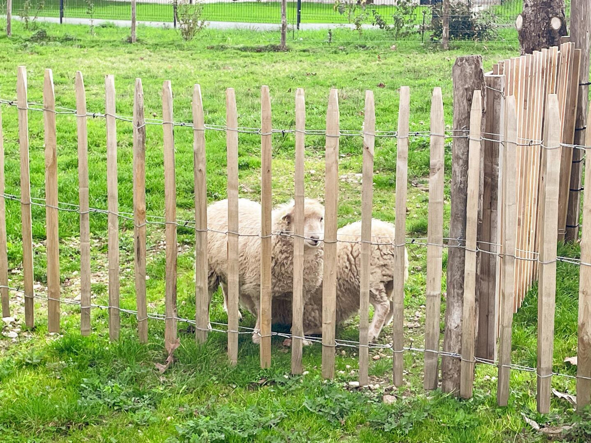 Gîte 7 personnes avec jeux de plein-air près d'Azay-le-Rideau - Photo 33