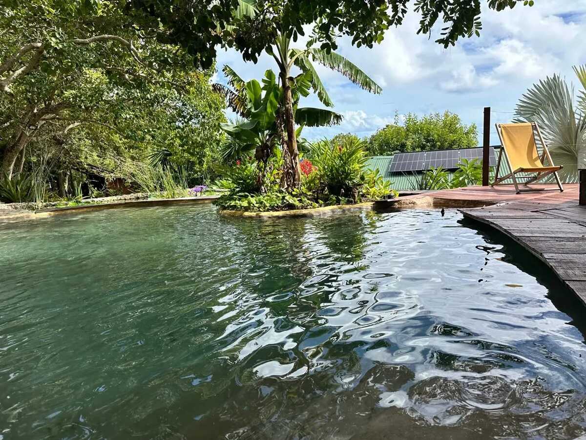 Bungalow dans jardin botanique à La Désirade, piscine - Photo 1