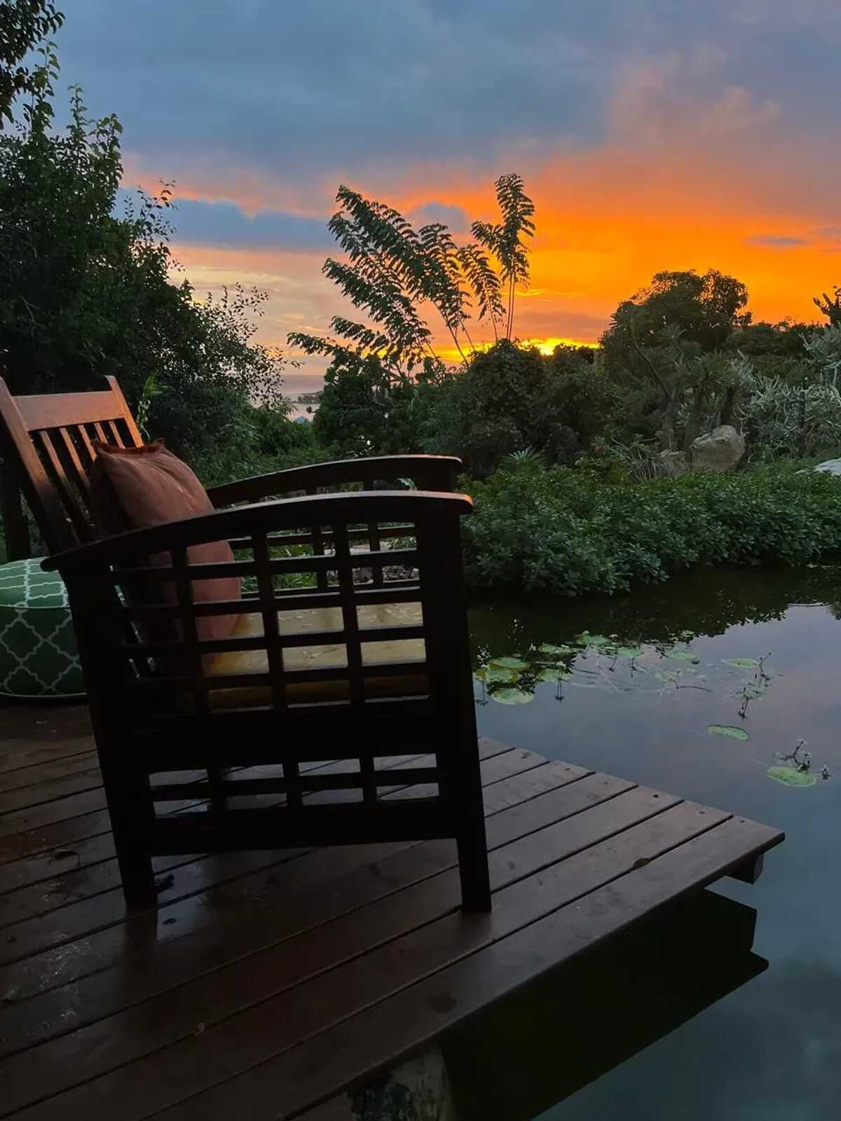 Bungalow dans jardin botanique à La Désirade, piscine - Photo 6