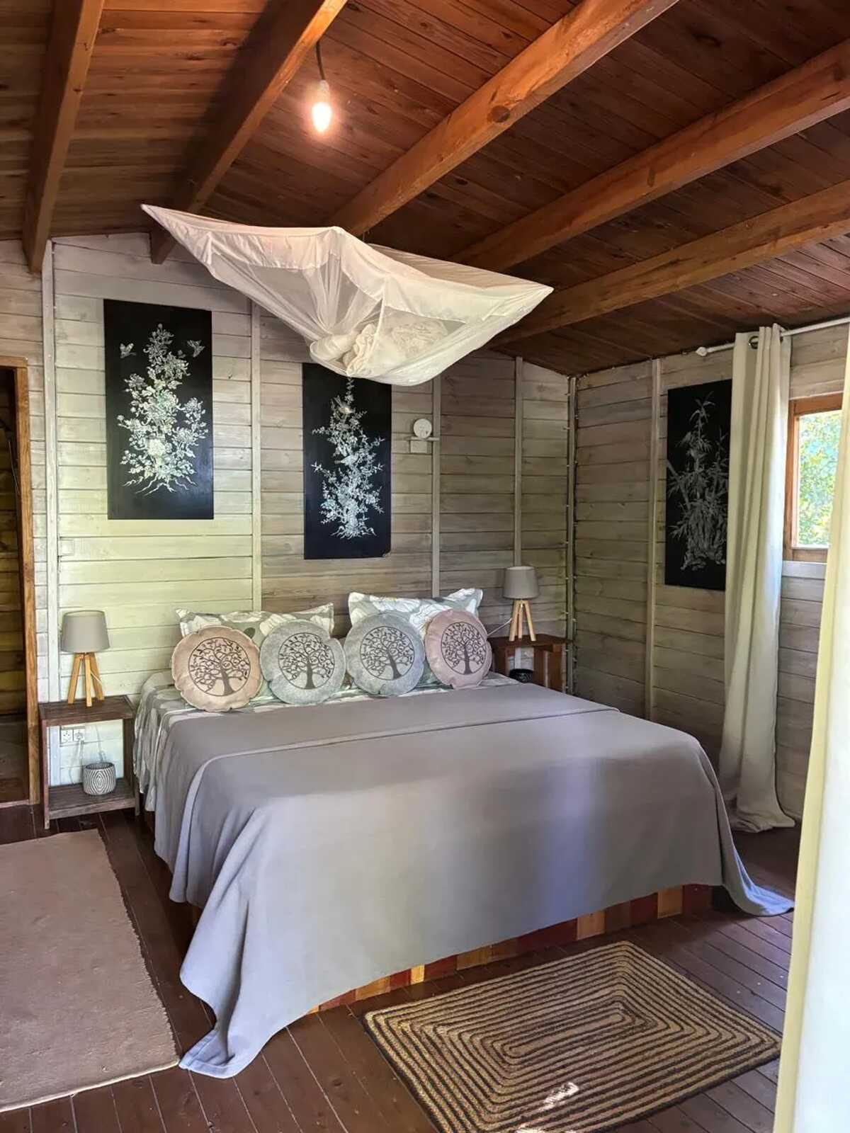 Bungalow dans jardin botanique à La Désirade, piscine - Photo 15