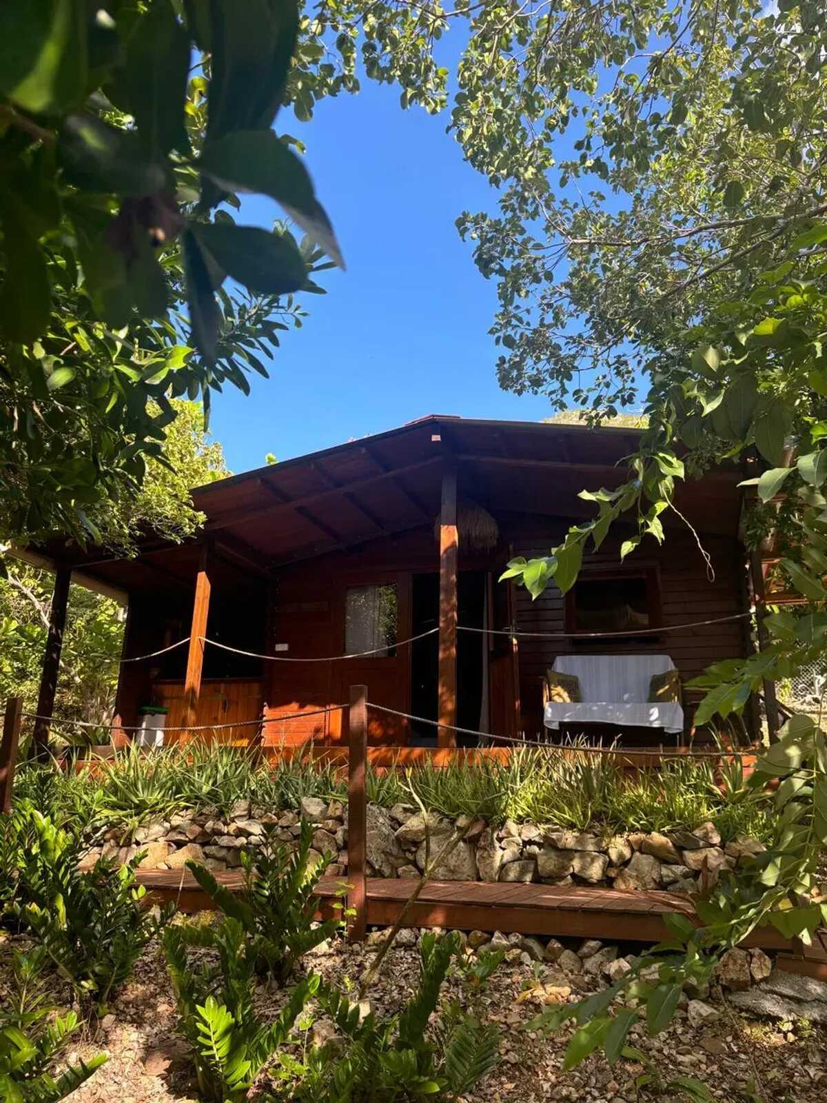 Bungalow dans jardin botanique à La Désirade, piscine - Photo 16