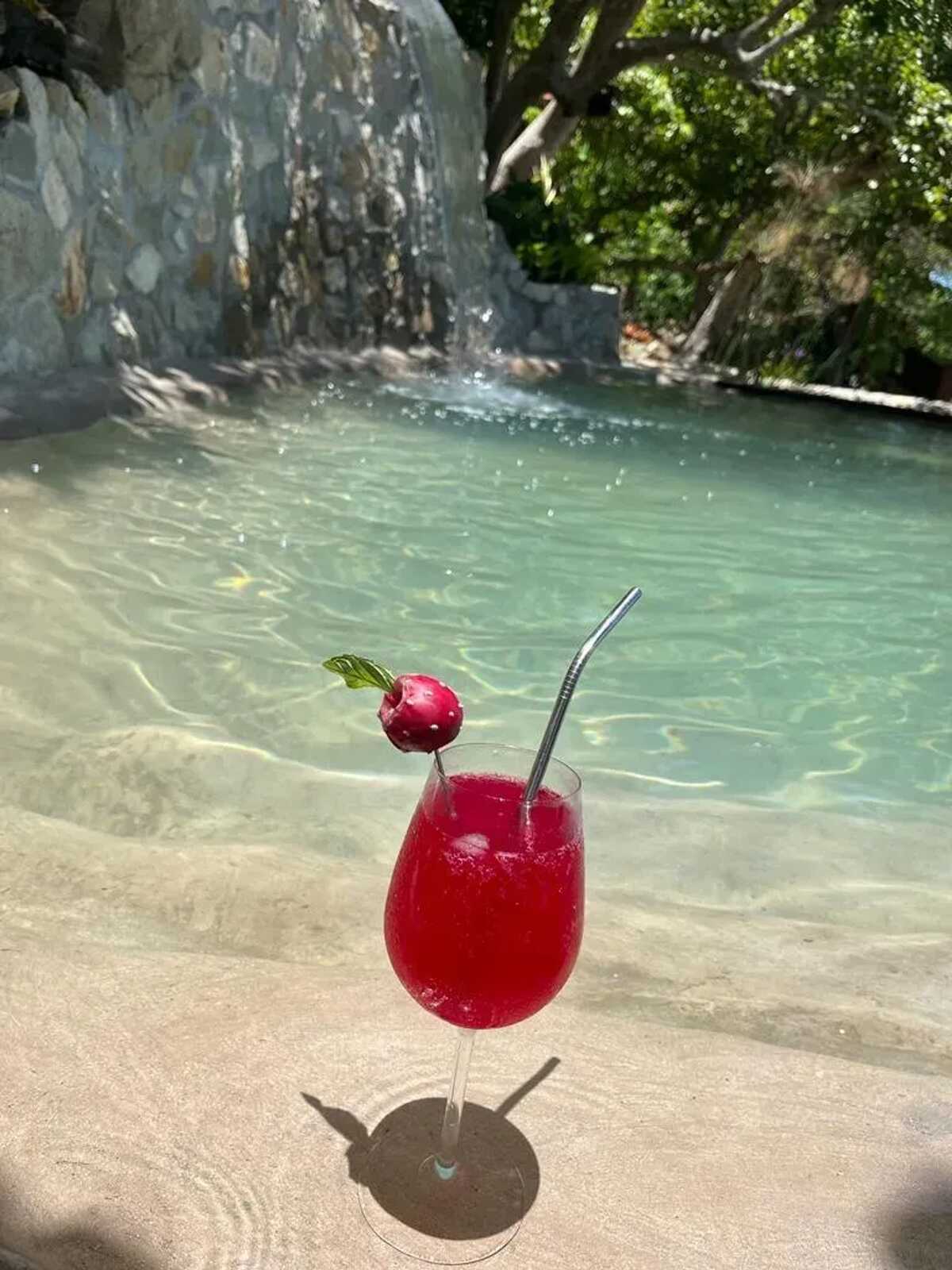 Bungalow dans jardin botanique à La Désirade, piscine - Photo 19