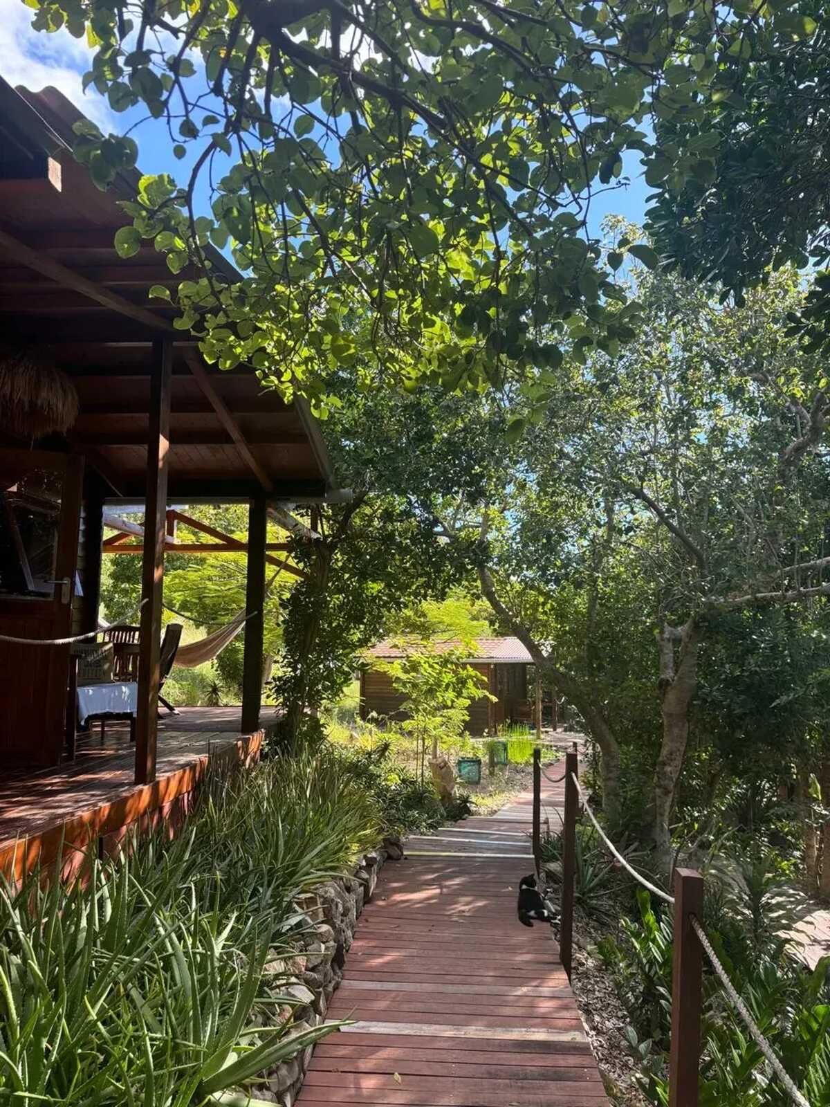 Bungalow dans jardin botanique à La Désirade, piscine - Photo 21