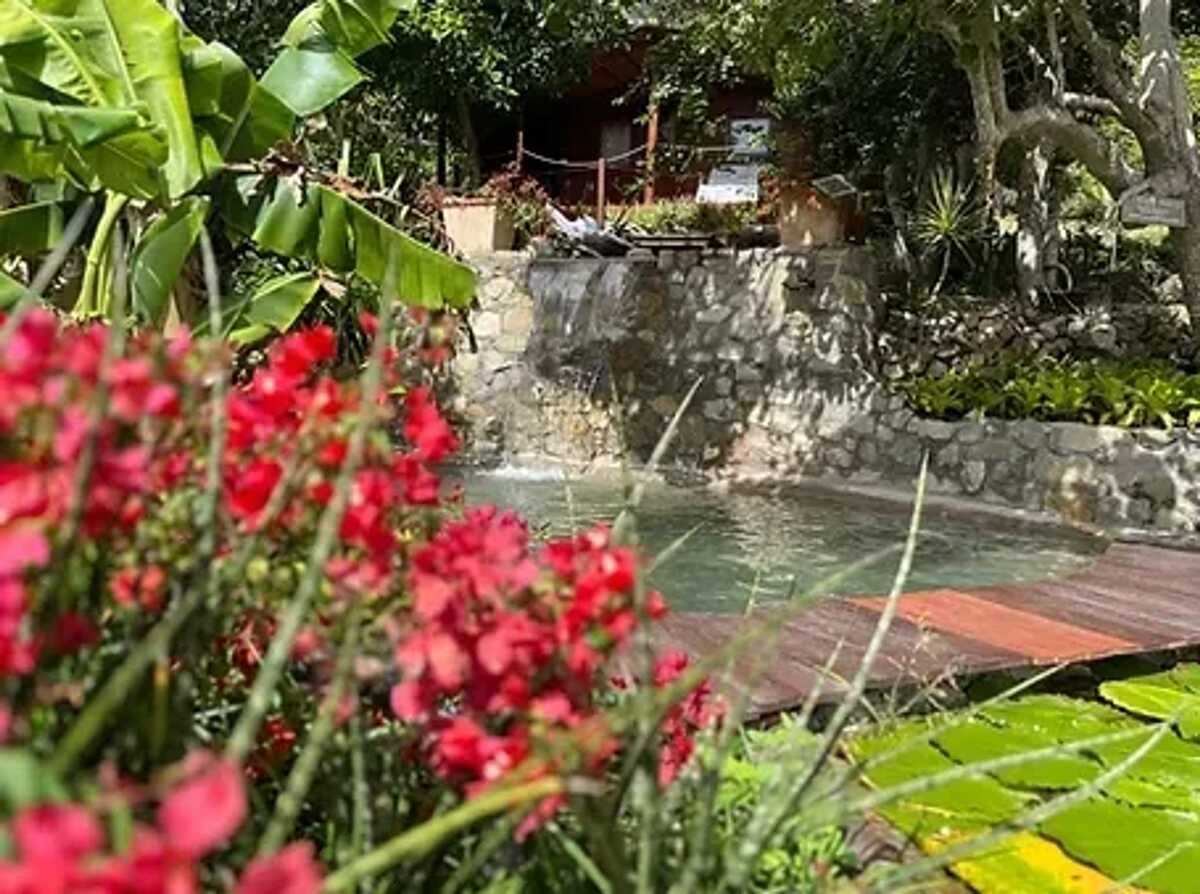 Bungalow dans jardin botanique à La Désirade, piscine - Photo 23
