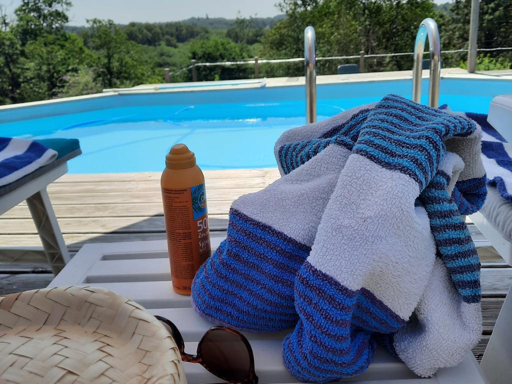 Maison avec piscine privée chauffée aux Salles-Lavauguyon - Photo 2