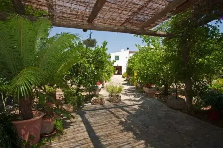 Villa moderne 300 m² avec piscine privée à Muro, 4 chambres : photo 18