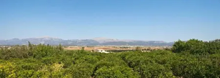 Villa moderne 300 m² avec piscine privée à Muro, 4 chambres : photo 28