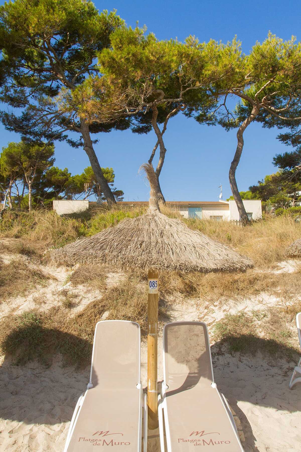 Villa 220 m² vue mer à Muro, 6 personnes, jardin clos - Photo 40