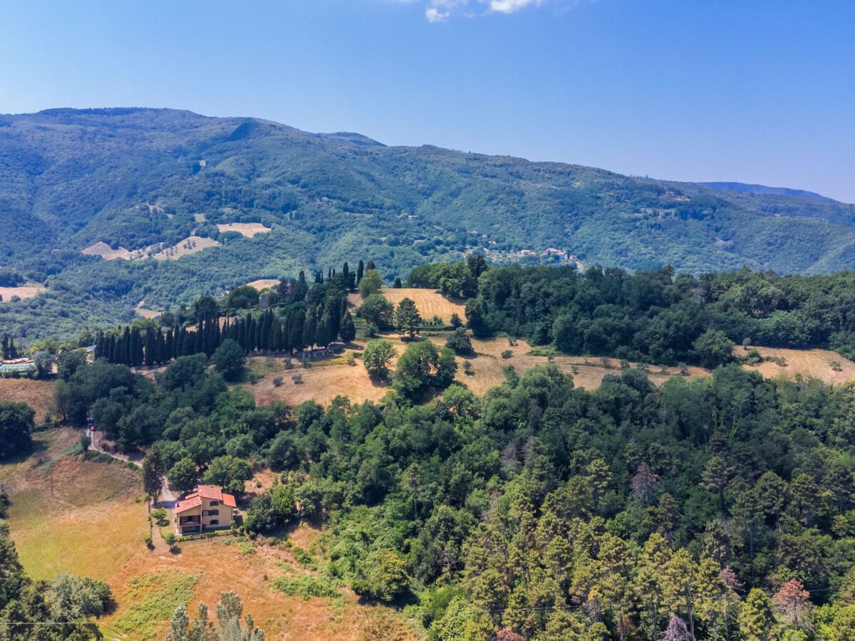Giorgina – Gite 8 pers. Vicchio, piscine & jardin - Photo 65