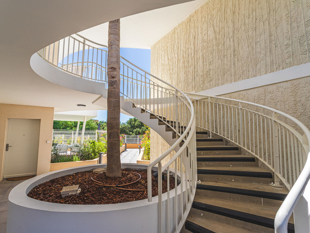 Appartement 4 étoiles au Lavandou, terrasse et jardin - Photo 24