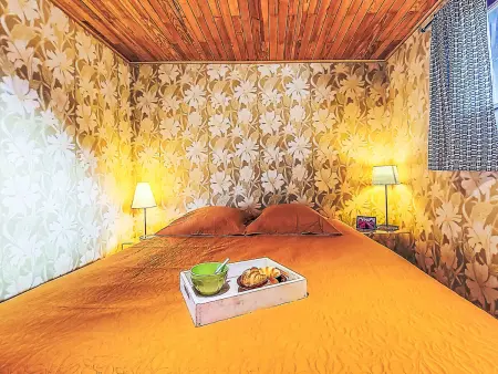 Appartement La Combe des Ours, 6 pers., vue montagnes : photo 21