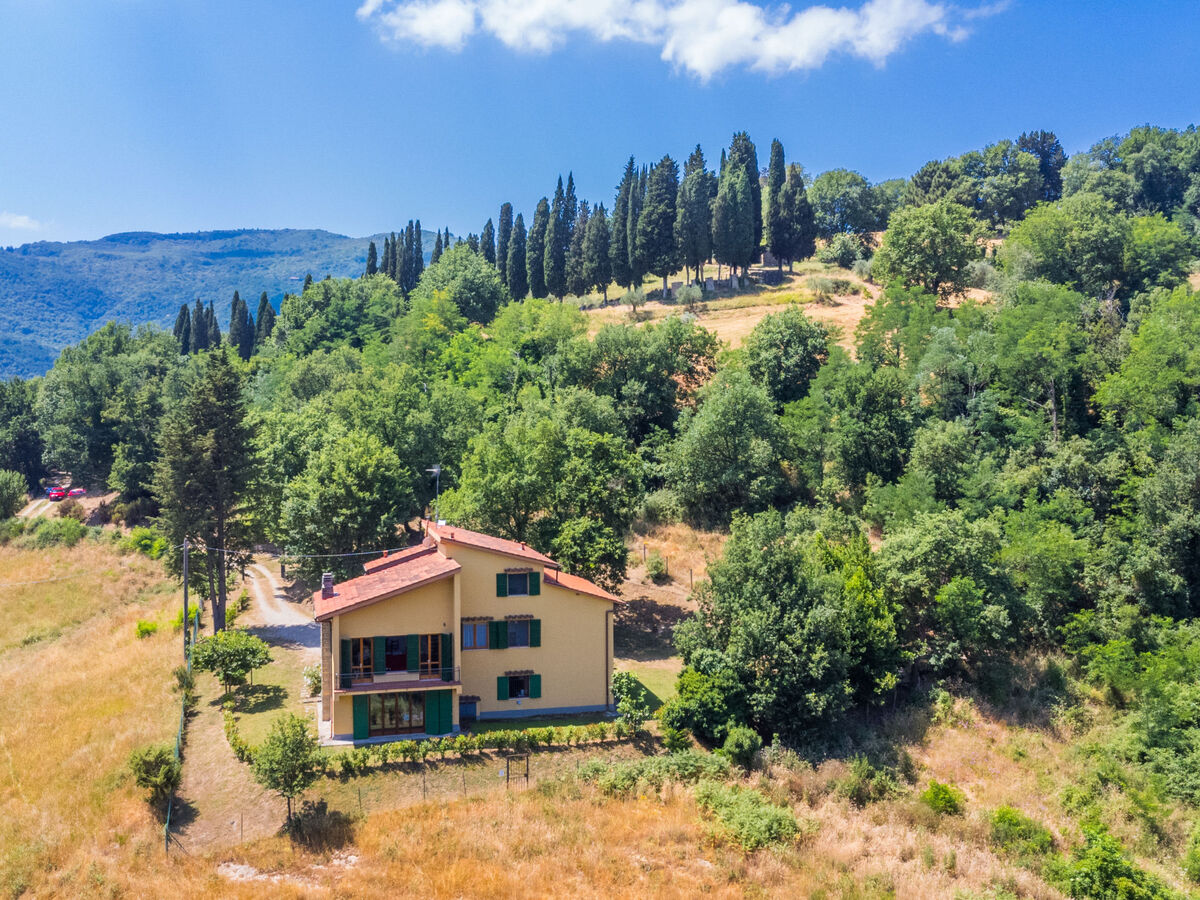 Giorgina, gîte 5 chambres avec piscine à Vicchio - Photo 1