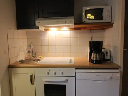Appartement 3 pièces à 200 m des pistes, L'Alpe d'Huez : photo 9