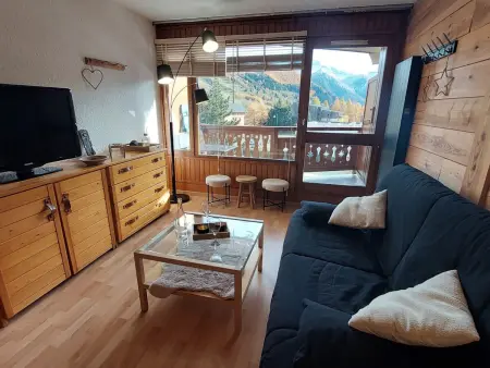 Studio 28m² aux Deux Alpes, balcon sud, pied des pistes : photo 10