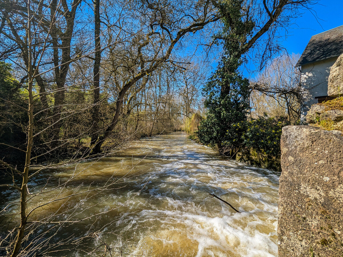Moulin en bordure de rivière à Chabris, 5 pers., étang - Photo 13