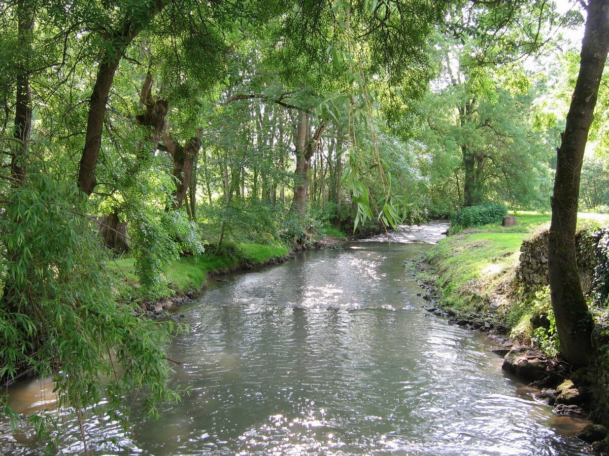 Moulin en bordure de rivière à Chabris, 5 pers., étang - Photo 26