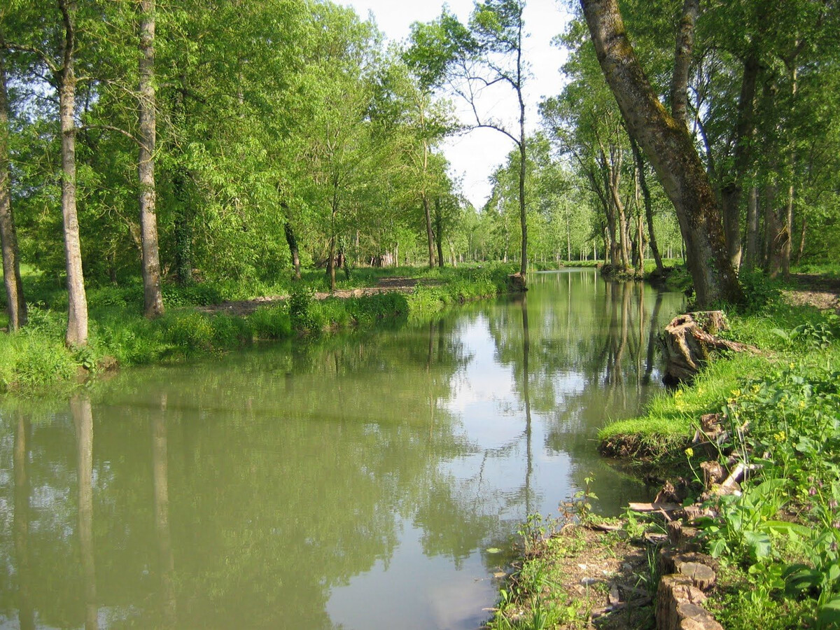 Moulin en bordure de rivière à Chabris, 5 pers., étang - Photo 31