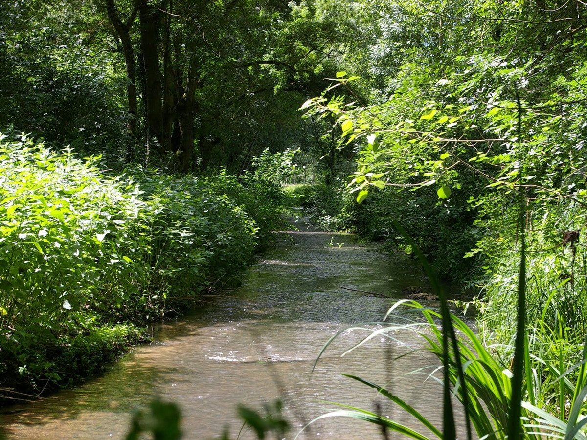 Moulin en bordure de rivière à Chabris, 5 pers., étang - Photo 32