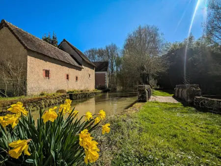 Moulin de Charme au Cœur du Berry, Proche Étang et Châteaux - Photo 11