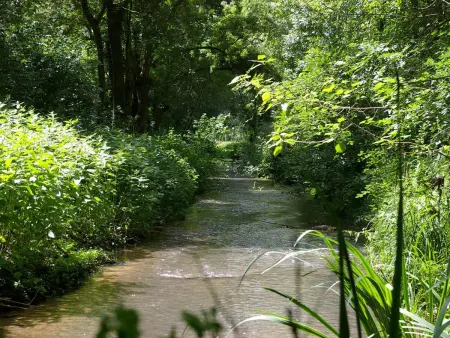 Moulin de Charme au Cœur du Berry, Proche Étang et Châteaux - Photo 31