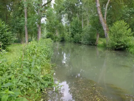 Moulin de Charme au Cœur du Berry, Proche Étang et Châteaux - Photo 34