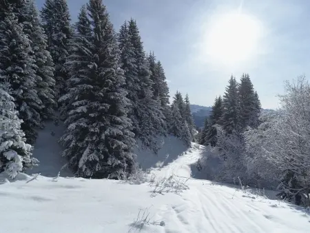 Appartement 7 pers. aux Saisies, accès ski direct : photo 15