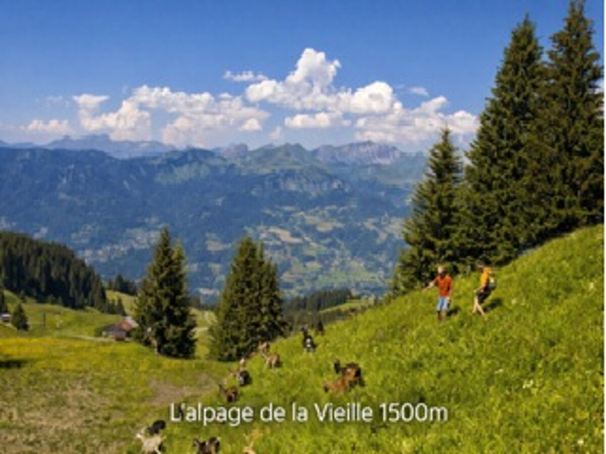 Appartement 2 pièces 4 pers. à 100m des pistes - Photo 13
